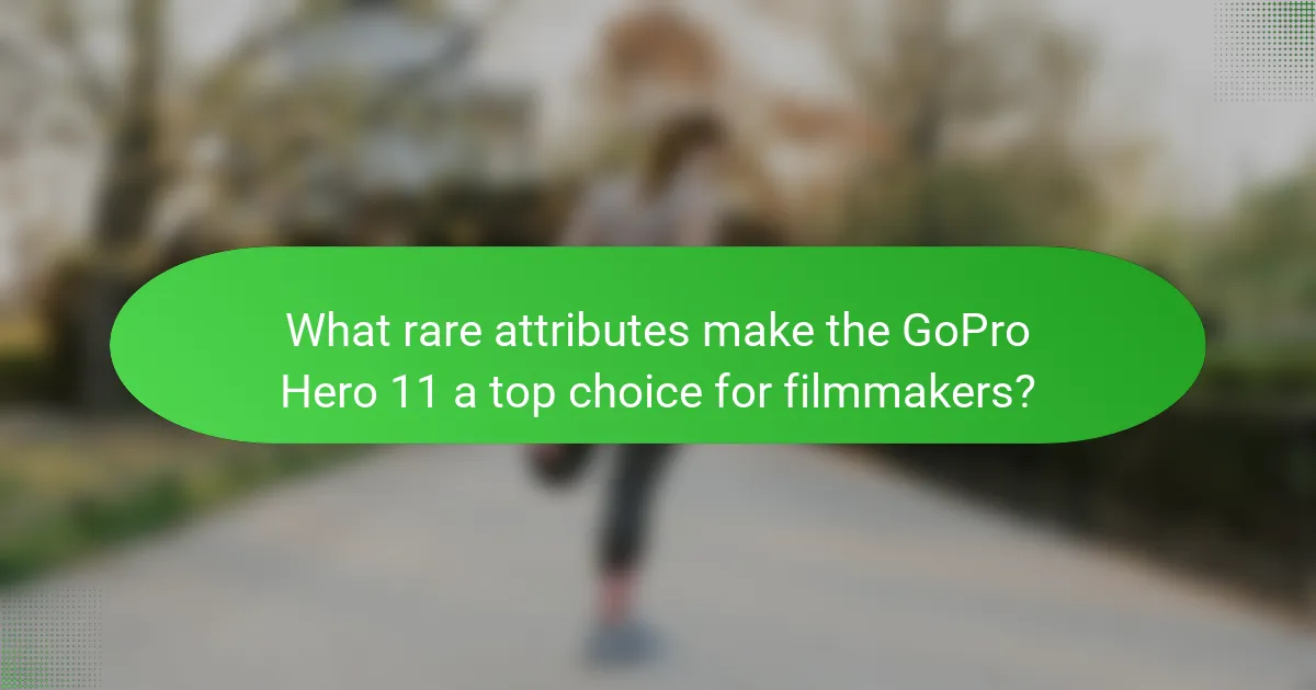 What rare attributes make the GoPro Hero 11 a top choice for filmmakers?