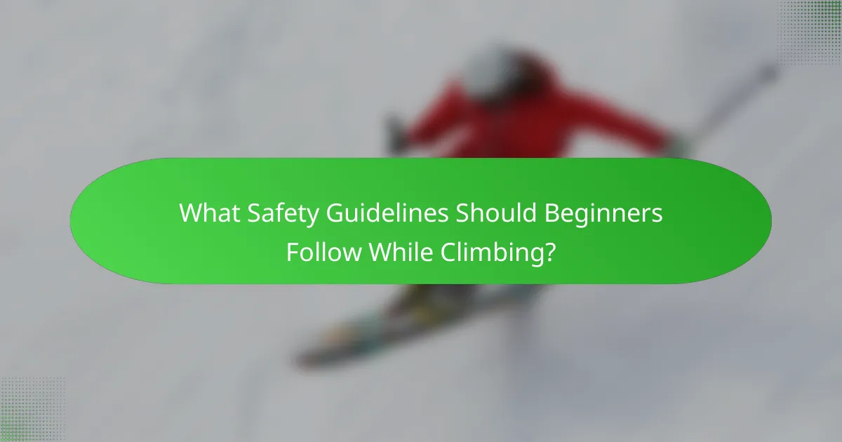 What Safety Guidelines Should Beginners Follow While Climbing?
